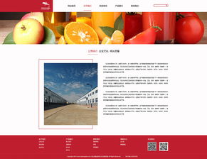 品味在线 饮料公司企业网站设计与制作的关键要素